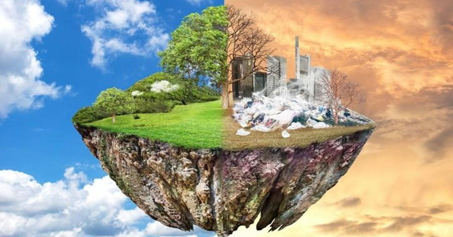 Human Impact: Adapting to Habitat Changes Together